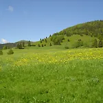 3 Panoramablick - Neu Incl 3-weltencard Mit 140 Kostenlosen Attraktionen Apartment Bernau im Schwarzwald
