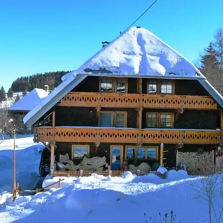 Panoramablick - Neu Incl 3-weltencard Mit Ueber 150 Kostenlosen Attraktionen Appartement Bernau im Schwarzwald