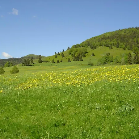 Panoramablick - Neu Incl 3-weltencard Mit Ueber 150 Kostenlosen Attraktionen Appartement Bernau im Schwarzwald
