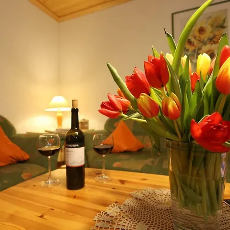 Panoramablick - Neu Incl 3-weltencard Mit 140 Kostenlosen Attraktionen