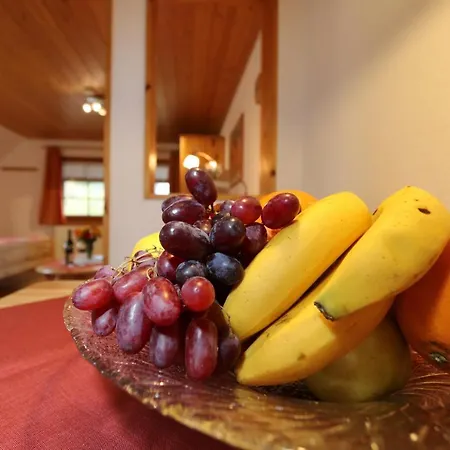 Apartamento Panoramablick - Neu Incl 3-weltencard Mit 140 Kostenlosen Attraktionen Bernau im Schwarzwald